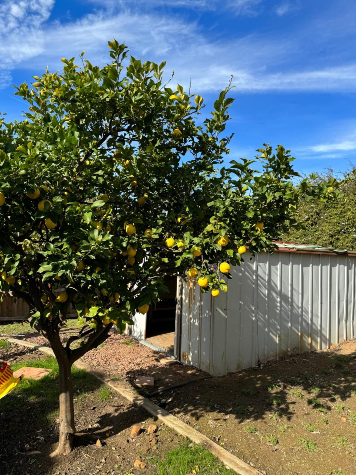 San Diego Trail Guest Ranch Villa Poway Exterior photo